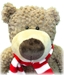 Huskers Plush Archie Bear - CH-B8717