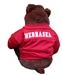 Sarge-Cheering Stuffed Bear in Husker Jersey - NV-76536