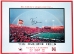 Coach Osborne Autographed Game Day Rainbow Poster - JH-02546